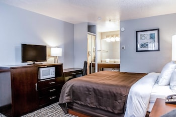 Standard Room, 1 King Bed, Non Smoking