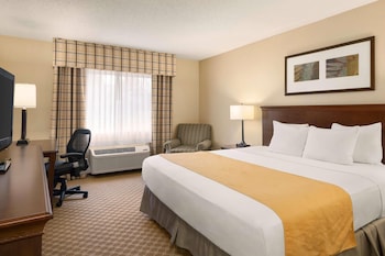 Room, 1 King Bed, Non Smoking