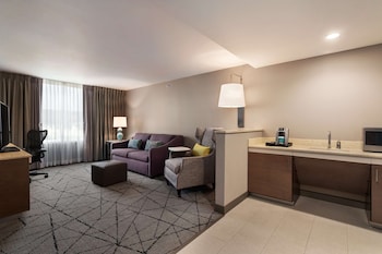 Junior Suite, 1 King Bed, Accessible (Roll-in Shower)