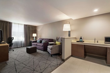 Junior Suite, 1 King Bed, Accessible (Roll-in Shower)