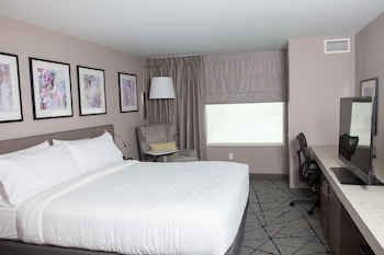 Room, 1 King Bed, Accessible (Roll-in Shower)