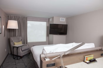 Room, 1 King Bed, Accessible (Roll-in Shower)