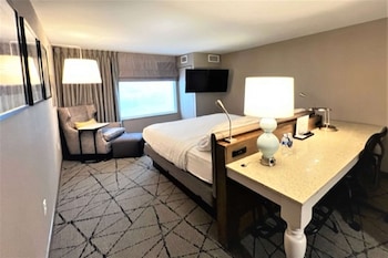 Studio, 1 King Bed