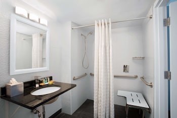 Room, 1 King Bed, Accessible (Roll-in Shower)