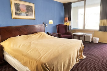 Room, 1 King Bed, Non Smoking