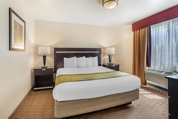Suite, 1 King Bed, Non Smoking, Refrigerator & Microwave (with Single Sofabed)
