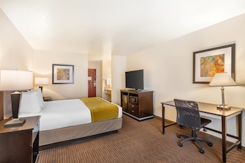 Standard Room, 1 King Bed, Non Smoking, Refrigerator