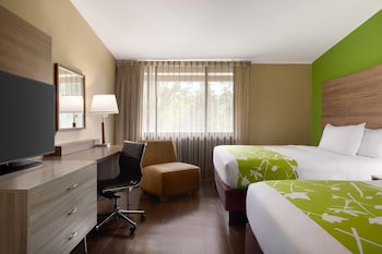 Room, Multiple Beds, Non Smoking