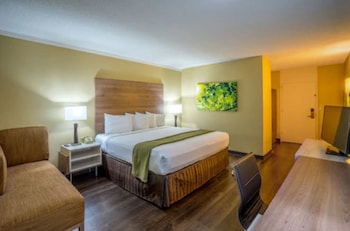 Room, 1 King Bed, Non Smoking
