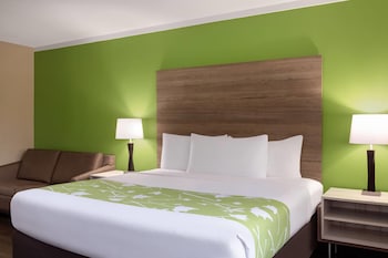 Room, 1 King Bed, Non Smoking