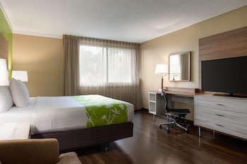 Room, 1 King Bed, Non Smoking