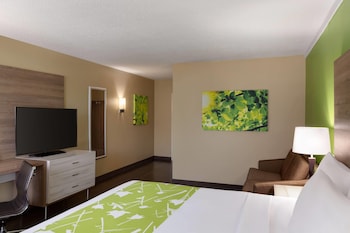 Room, 1 King Bed, Non Smoking