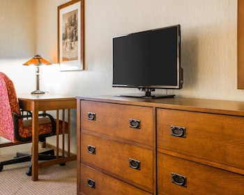 Standard Room, 1 King Bed with Sofa bed, Non Smoking
