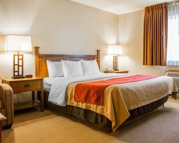Standard Room, 1 Queen Bed, Non Smoking
