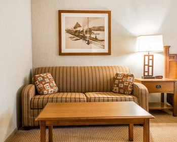 Standard Room, 1 King Bed with Sofa bed, Non Smoking