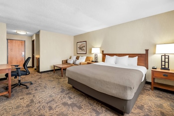 Standard Room, 1 King Bed with Sofa bed, Non Smoking