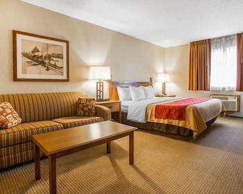 Standard Room, 1 King Bed with Sofa bed, Non Smoking