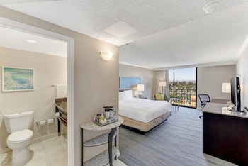1 King Bed, Mobility Accessible, Bathtub