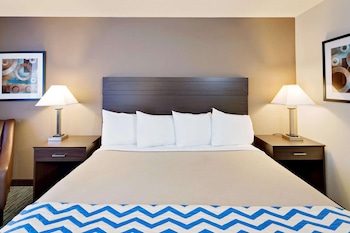Room, 1 King Bed, Non Smoking