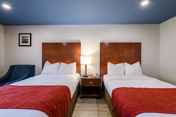 Standard Room, 2 Double Beds, Non Smoking, Refrigerator & Microwave (Single Use)