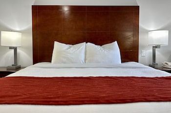 Standard Room, 1 King Bed, Mobility Accessible, Non Smoking