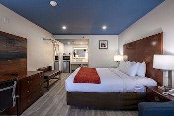 Standard Room, 1 King Bed, Mobility Accessible, Non Smoking