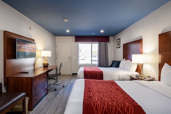 Standard Room, 2 Double Beds, Non Smoking, Refrigerator & Microwave (Single Use)