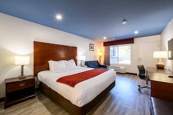 Standard Room, 1 King Bed, Mobility Accessible, Non Smoking