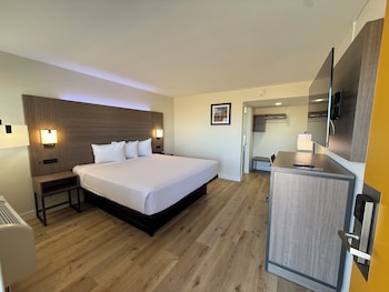 Room, 1 King Bed, Non Smoking