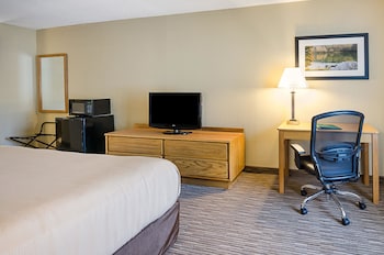 Room, 1 King Bed, Accessible, Non Smoking