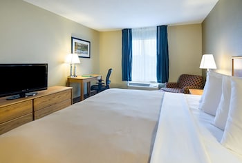 Standard Room, 1 King Bed, Non Smoking