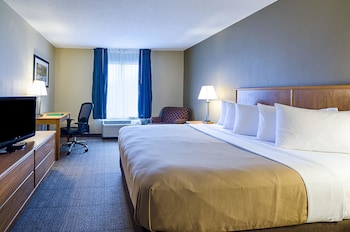Standard Room, 1 King Bed, Non Smoking