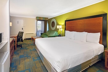 Room, 1 King Bed, Mobility Accessible, Non Smoking (Bathtub W/grab Bars)
