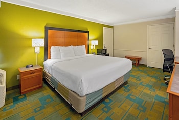 Room, 1 King Bed, Mobility Accessible, Non Smoking (Bathtub W/grab Bars)