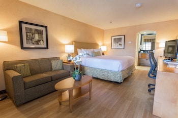 Standard Room, 1 King Bed with Sofa bed, Non Smoking, Refrigerator (with Sofabed)
