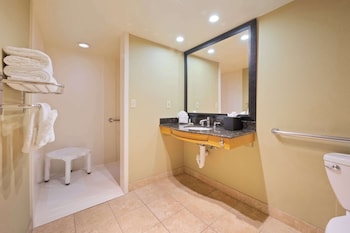 Standard Room, 1 King Bed, Accessible, Refrigerator