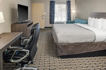 Room, 1 King Bed with Sofa bed, Smoking