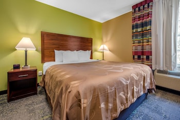Suite, 1 King Bed with Sofa bed, Non Smoking