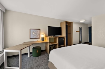 Room, 1 King Bed, Accessible, Bathtub (Mobility & Hearing)