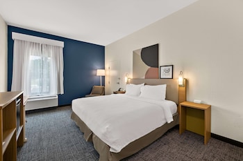 Room, 1 King Bed, Accessible (Mobility & Hearing, Roll-In Shower)