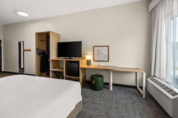 Room, 1 King Bed, Accessible (Mobility & Hearing, Roll-In Shower)