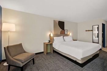 Room, 1 King Bed