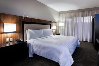 Room, 1 King Bed