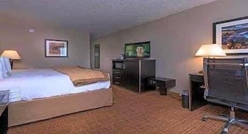 Room, 1 King Bed, Non Smoking