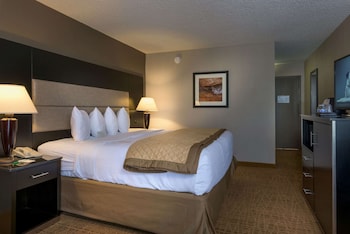 Room, 1 King Bed, Non Smoking