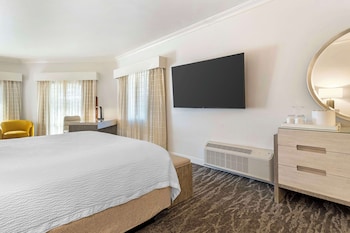 Deluxe Room, 1 King Bed, Non Smoking, Refrigerator (Shower Only)