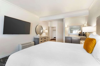 Deluxe Room, 1 King Bed, Non Smoking, Refrigerator (Shower Only)