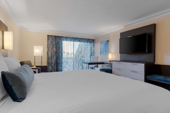 Standard Room, 1 King Bed, Non Smoking, Kitchenette (with Sofabed)
