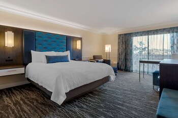 Standard Room, 1 King Bed, Non Smoking, Kitchenette (with Sofabed)
