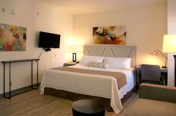 Deluxe Room, 1 King Bed, Accessible, Refrigerator & Microwave